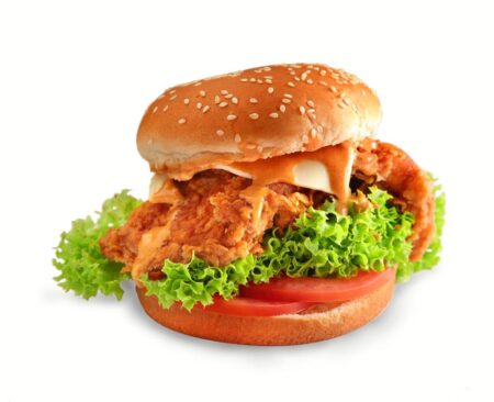 HOT AND SPICY BURGER